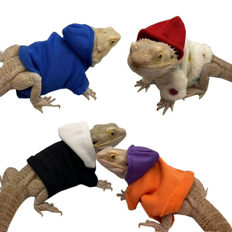 Bearded dragon apparel deals
