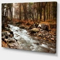 thumbnail image 2 of Stream in Autumn Forest, 2 of 3