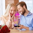 thumbnail image 5 of Mothers Day Rose Gifts for Mom, Galaxy Glass Rose Flower Gifts Forever Eternal Crystal Light Up Rose in Glass Dome with Butterfly Mother’s Day Birthday Gifts for Women Mom Wife Daughter Sister Purple, 5 of 10