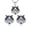 Set, variant on Koko Husky Dog Sterling Silver Necklace for Women Cz Ginger Lyne Collection