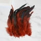 thumbnail image 5 of 50 Uds. de plumas para manualidades DIY, accesorios de artesanía, decoraciones de plumas de pollo ligeras y suaves portátiles para fabricación de Café BLESIY Plumas para manualidades, 5 of 8