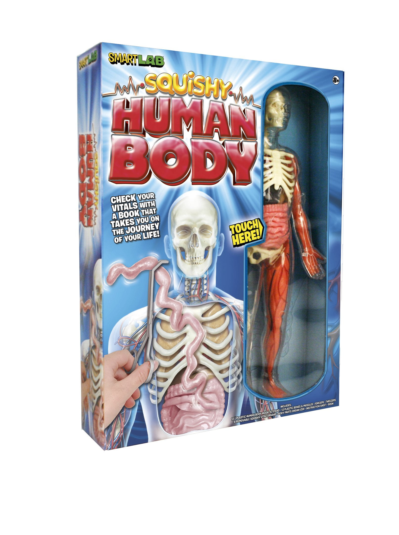 SMART LAB Squishy Human Body 21パーツ おもちゃ Amazon.com: SMARTLAB Toys Squishy Human Body with 21