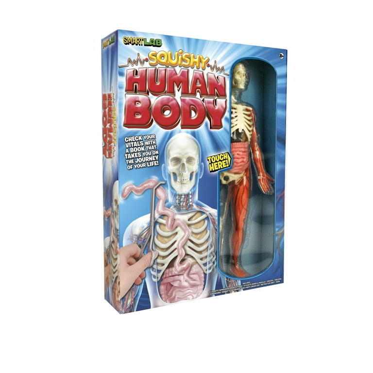 SMART LAB Squishy Human Body 21パーツ おもちゃ Amazon.com: SMARTLAB Toys Squishy Human Body with 21