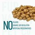 thumbnail image 5 of (3 pack) Fur Valley Pet Co. Freeze Dried Raw Salmon Treats & Topper for Dogs and Cats - 1 oz., 5 of 8
