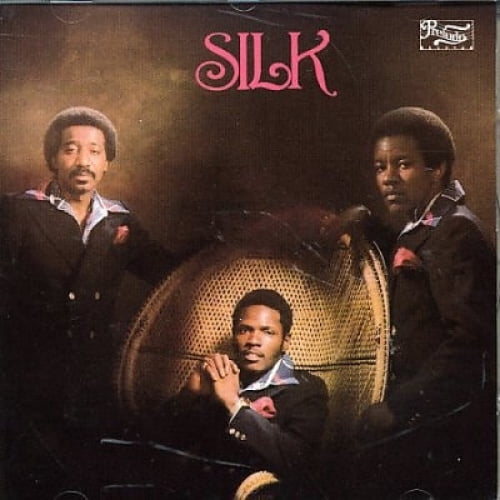 Silk * - Walmart.ca