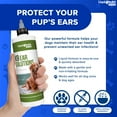 LIQUIDHEALTH K9 Canine Ear Cleaner Solution 12 fl Oz