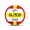 Red Yellow, variant on Almos Training Volleyball for Club, Indoor and Outdoor Play, Official Size 5 – Pink Green