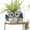 Blue, variant on Quoowiit Small Swing Owl Planter Pot,Hanging Planters for Indoor Outdoor Plants with Drainage Holes