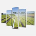 thumbnail image 2 of Beautiful View of Crops Watering - Landscape Canvas Art Print, 2 of 3
