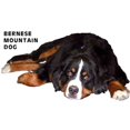 thumbnail image 3 of CafePress - Bernese Mountain Dog Large Mug - 15 oz Ceramic Large White Novelty Mug, 3 of 4