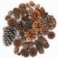 thumbnail image 2 of Conos de pino de Navidad - Decoraciones naturales de cono de pino de Acción de Gracias para Navidad / Decoración del hogar / Artesanía de bricolaje JAMW Sencillez, 2 of 5