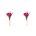 thumbnail image 3 of Billuyoard Durabilidad y encanto duraderos en ramo de flores secas naturales flor en relieve elegante HS-19 HS-19 2Conjunto, 3 of 6