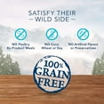 Blue Buffalo Wilderness Trail Treats Grain Free Biscuits Crunchy Dog