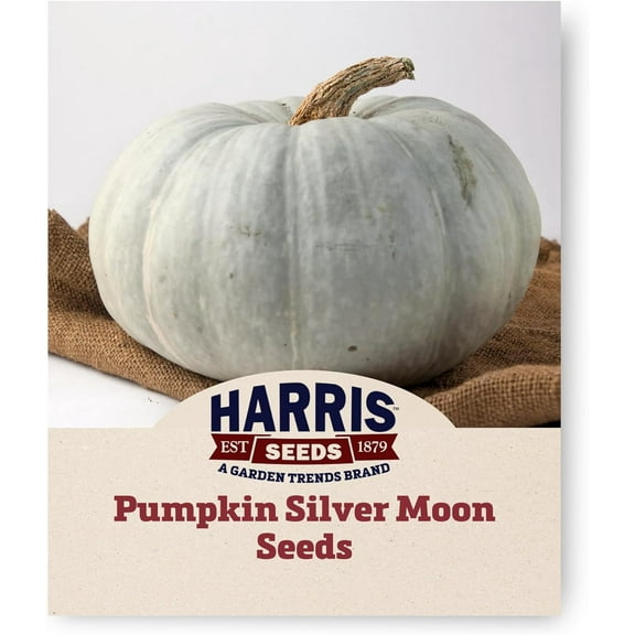 Harris Seeds - Pumpkin Silver Moon F1 Non-GMO Vegetable - Treated Variety - 250 Seeds