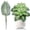 D, variant on RZDLIZJ Artificial Plant Stems Dieffenbachia Leaves-1 Pcs Fake Dumb Cane with Variegated Green & White Leaves for Vase 16.14" Realistic Faux Greenery for Table Centerpiece Office Home Decor
