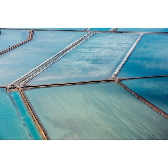 Marmont Hill "Water Purification" Painting Print on Wrapped Canvas