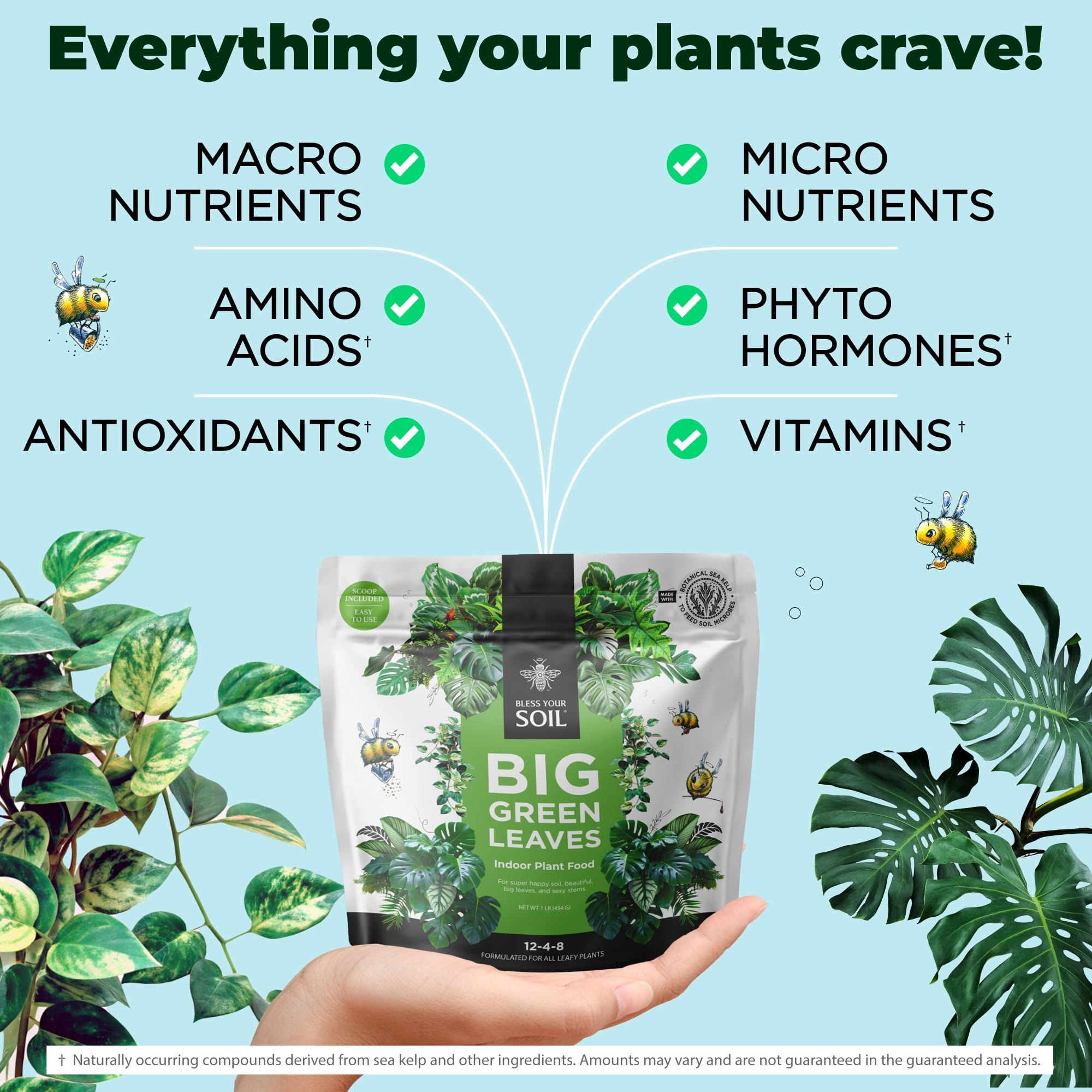 Big Green Leaves | All Purpose Houseplant Fertilizer, Indoor Plant Food (1LB)