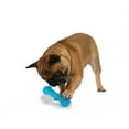 Vibrant Life Fetch Buddy Spiky Blue Bone Dog Toy, Chew Level 3