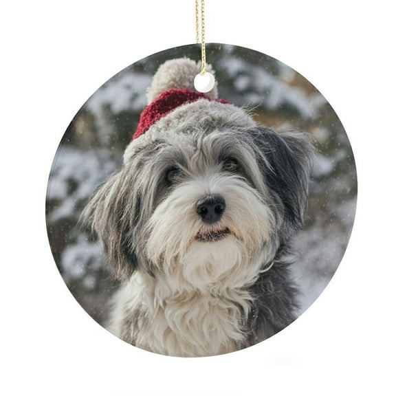 Ceramics Ornaments Havanese Dog Christmas Double-Sided Ceramics Ornaments Dog in Santa Hat Snowflake Christmas Tree Decoration Indoor Outdoor Yard Holiday Present