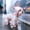 Red,L, variant on SHJHENG Full-Cover Transparent Pet Raincoat with Hood, Rainbow Pattern Four-Legged Waterproof Jacket for Small Dogs and Cats, Cute Outdoor Rain Gear