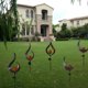 thumbnail image 5 of Decoración esférica de cristal agrietada impermeable al aire libre del jardín de la pila del metal para el paso, césped Jormftte CPB-US-DYP162-3, 5 of 5