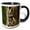 Black/White, variant on 3drose, Eastern Screech Owl (gray Phase) Otus Asio, Michigan - Us23 Aje0006 - Adam Jones, 11oz Magic Transforming Mug