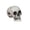 C, variant on Realistic Halloween Skull Decoration Spooky Haunted House Prop with Bloody Details for Parties & Events