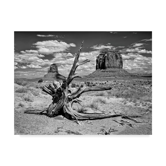 Trademark Fine Art 'Black And White Desert View V' Canvas Art by David Drost