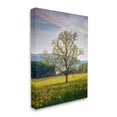 thumbnail image 2 of Stupell Lone Tree Wildflower Meadow Landscape Photography Gallery Wrapped Canvas Print Wall Art, 2 of 5
