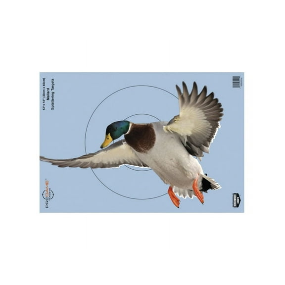 BIRCHWOOD CASEY Pregame 12" x 18" Duck Targets - Realistic Instant Splattering Shooting Targets - For Use with All Guns & Calibers - 8 Targets Pack