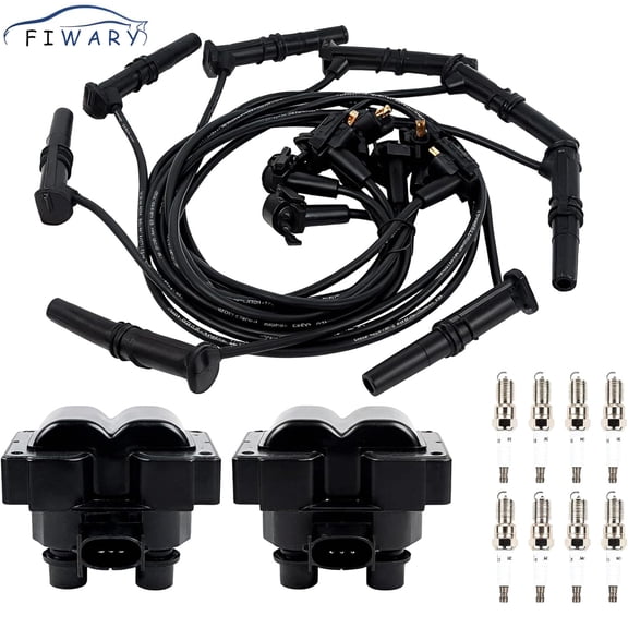 FIWARY 2PCS FD487 Ignition Coils   8PCS Iridium Spark Plugs 8PCS Spark Plug Wires Fits for 1997-1999 F-150, 1993-1998 Mustang, 1991-1997 Town Car 4.6L