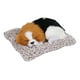 thumbnail image 3 of Perro durmiendo realista, adorable cachorro durmiendo, juguetes para niños, decoraciones, regalos para niños y niñas, Beagle, 3 of 14