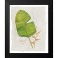 thumbnail image 2 of Tillmon, Avery 20x24 Black Modern Framed Museum Art Print Titled - Botanical Journal I Light, 2 of 5