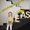 thumbnail image 4 of JHEHF 3.28 Ft Easter Garland Pastel Easter Eggs Hanging Rustic Spring Vine String for Mantle Gifts Home Decor Wall Window Table Seasonal Decoration Wreath Making, 4 of 8