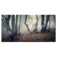 thumbnail image 2 of Mystical Yellow Fog in Fall Forest - Landscape Photography Canvas Print, 2 of 3
