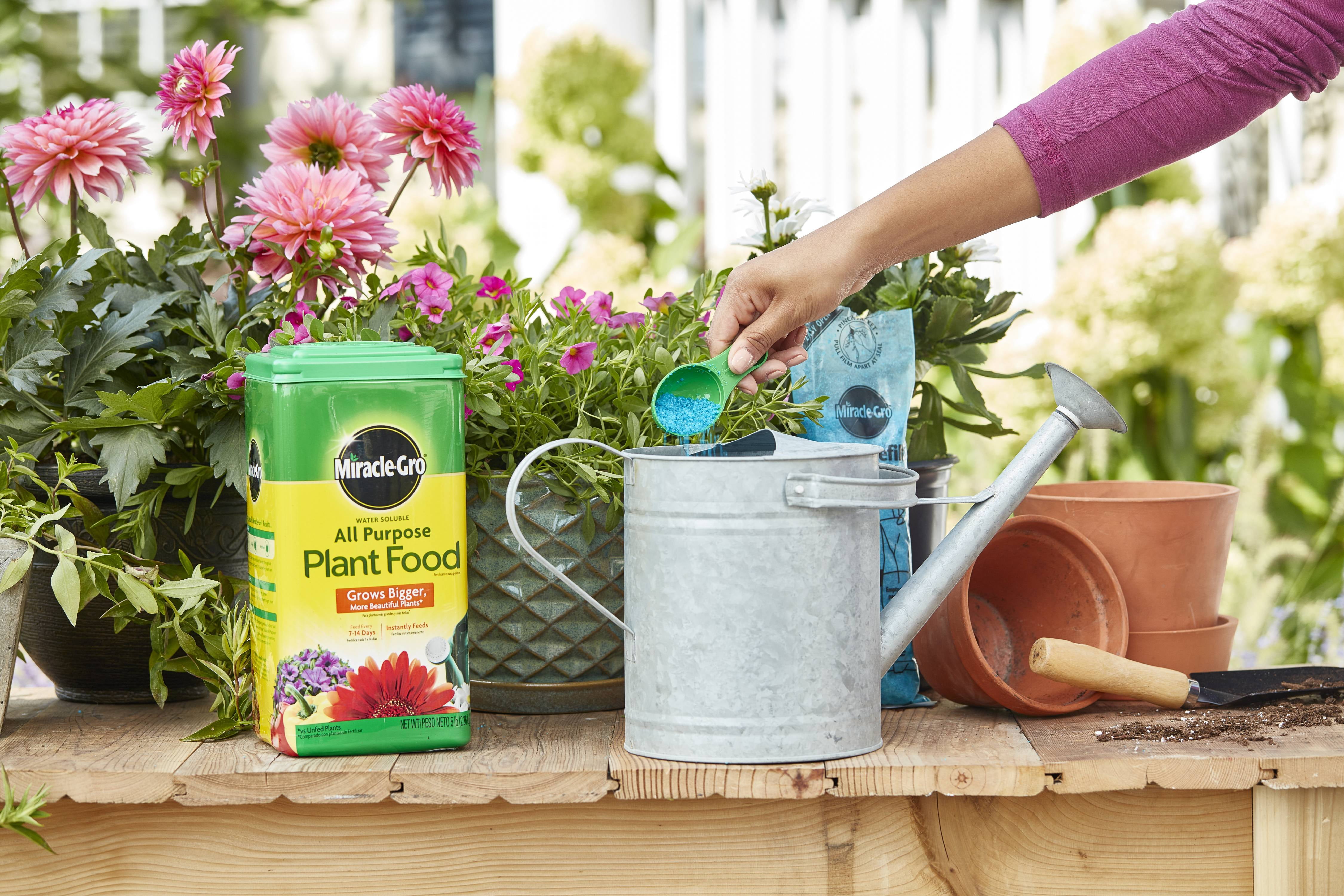 Miracle Gro Water Soluble All Purpose Plant Food 5 Lb Safe For