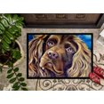 thumbnail image 3 of Carolines Treasures 7402JMAT Tapis Intérieur Ou Extérieur 24 x 36 Po. Boykin Spaniel, 3 of 4