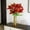 Red, variant on Artificial Daffodils Bouquet - 1 Stems Fake Daffodil Flowers,Real Touch Narcissus for Spring Easter Home Decor,Wedding Centerpieces,Table Arrangements,Indoor Outdoor Garden Patio Decoration