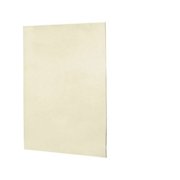 Swan Solid Surface 72'' x 60'' x 0.25'' One Panel Shower Wall