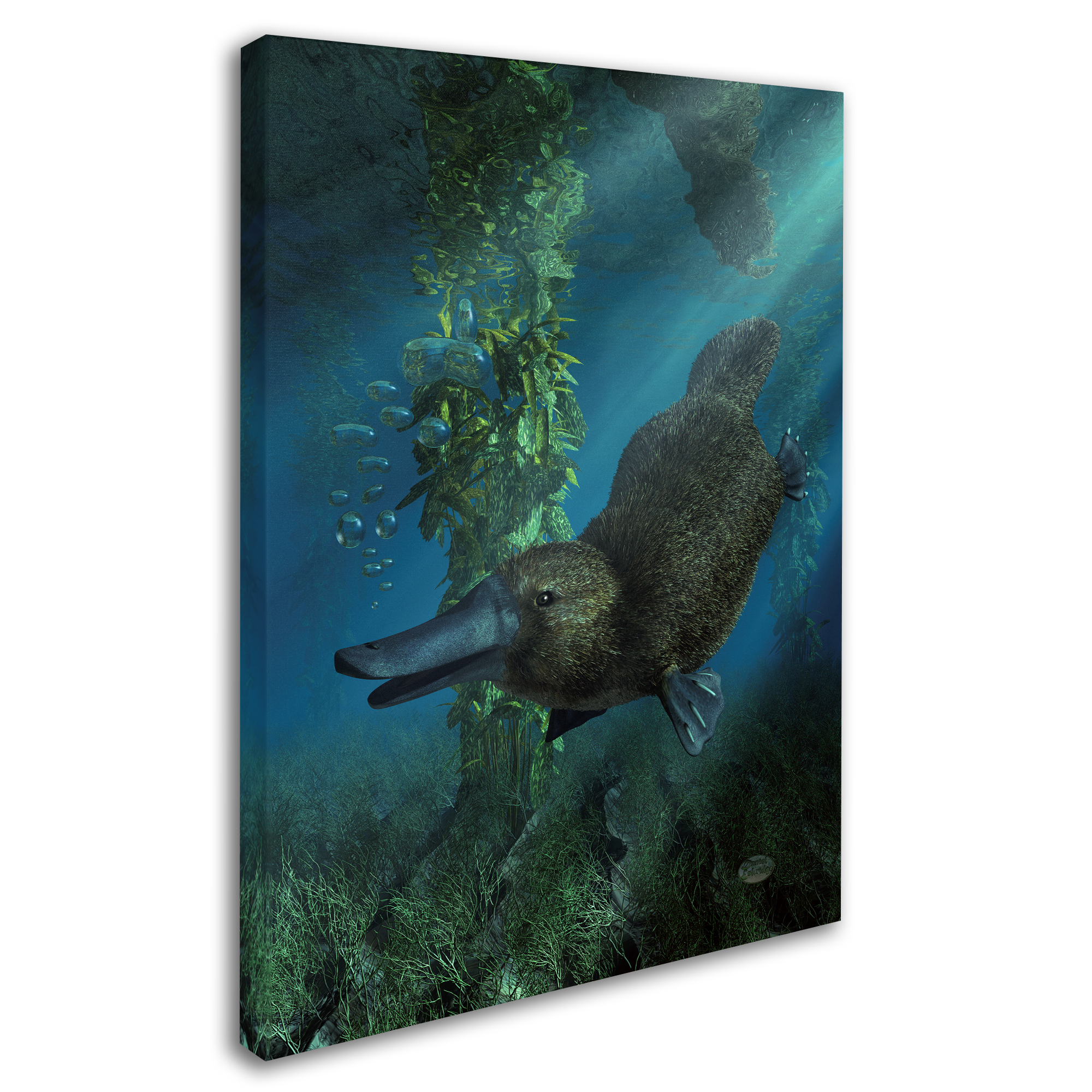 Trademark Fine Art 'Platypus' Canvas Art by Daniel Eskridge