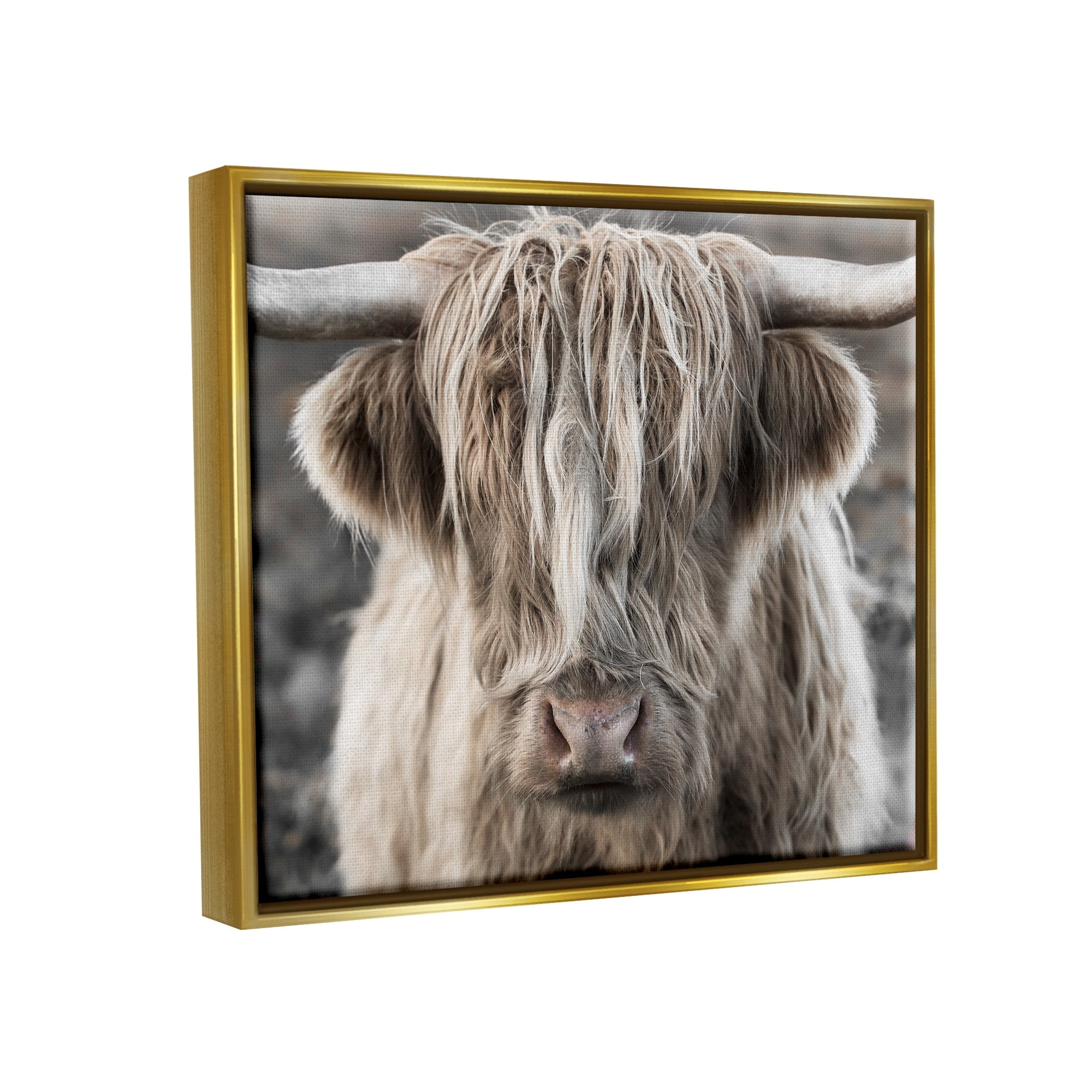 Stupell Industries Detailed Highlands Cattle Rural Farm Animal Photography Photograph Metallic Gold Floating Framed Canvas Print Wall Art, Design by Danita Delimont