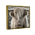 thumbnail image 5 of Stupell Industries Detailed Highlands Cattle Rural Farm Animal Photography Photograph Metallic Gold Floating Framed Canvas Print Wall Art, Design by Danita Delimont, 5 of 5