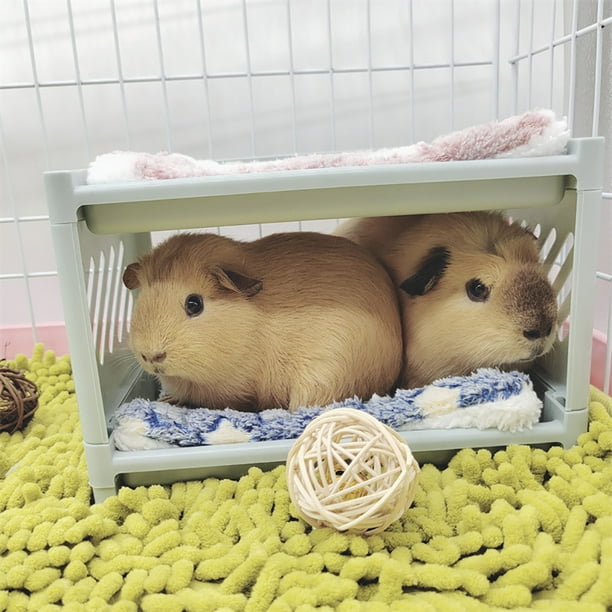 Guinea pig hot sale pet supplies