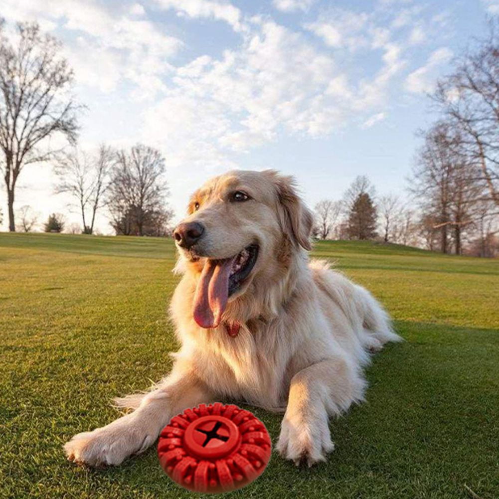 CSCHome 5.5" Chew Toys for Puppy Dogs, Natural Rubber Indestructible Dog Toys for Extra Long Interactive Play