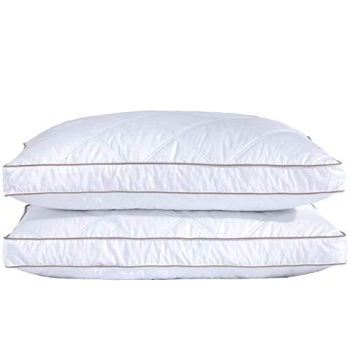 Puredown Goose Feather Down Pillow Set of 2