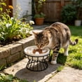 thumbnail image 4 of Raised Ceramic Cat Slow Feeder Bowl with Stand, Elevated Slow Feeder Pet Bowls for Wet and Dry Food, Whisker Friendly Anti-Choke Pet Feeder, for Kitten Small Dog or Cat Use, 1Pcs 5.9x3.9 Inch, 4 of 5