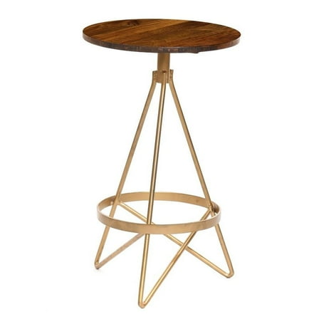 Pemberly Row Retro Wood Counter Height Stool in Elm and Gold