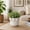 Ivory, variant on Sagebrook Home Classic Round Leaf Applique Flower Pots for Home Decor - Ceramic Planter with Leaf-Trim Design for Outdoor & Indoor Plants - 5", Brown