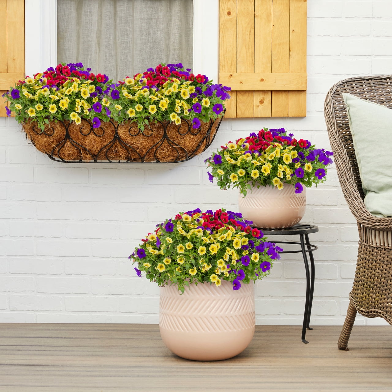 Better Homes & Gardens 16" Hawaiian Country Mix Live Plants in Pot (2 Count)
