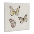 thumbnail image 2 of Stupell Industries Transitional Delicate Butterflies on Beige Canvas Art, 30 x 30, by Patricia Pinto, 2 of 8